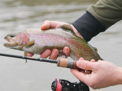 Delphin TROUTERA HardLure 210 cm / 2–7 g