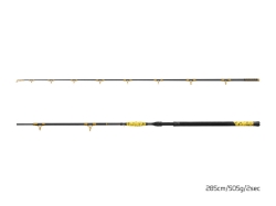 Delphin Sumcový prut HAZARD BxG 285cm/505g