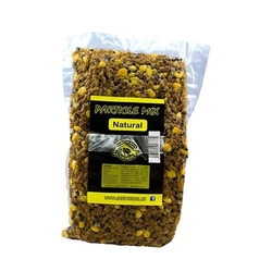 Carp Servis Václavík Particle Mix 3kg/Natural