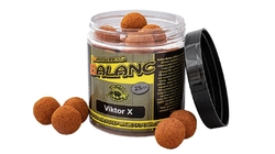 Carp Servis Václavík Boilies Balanc 120g/25mm-Vitor X