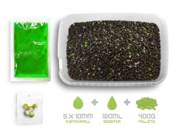 Pellet box Delphin Reaxe READY&GO / Česnek-Butyric