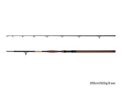 Delphin Sumcový prut SymbolCAT Bronze 255cm/500g