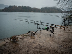 Giants fishing Stojan Compact Rod Pod 3 Rods