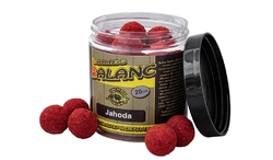 Carp Servis Václavík Boilies Balanc 120g/20mm-Jahoda