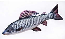 Gaby plyšový polštář Lipan podhorní 75cm
