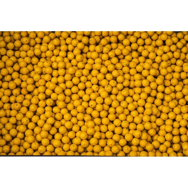 Boilies Lt Baits Fine Pineapple 10 kg