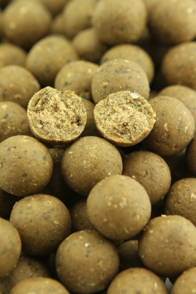 NorthernBaits boilies Blue Mussel 1kg