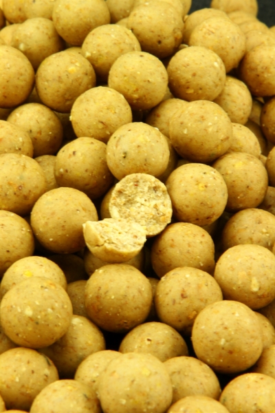 NorthernBaits boilies Milky Amino Scopex