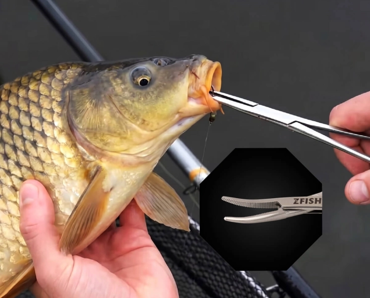 ZFISH Pean Zahnutý